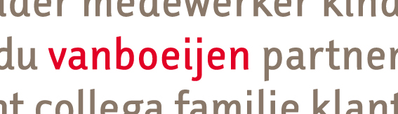 Logo Jaarverslag Vanboeijen 2020